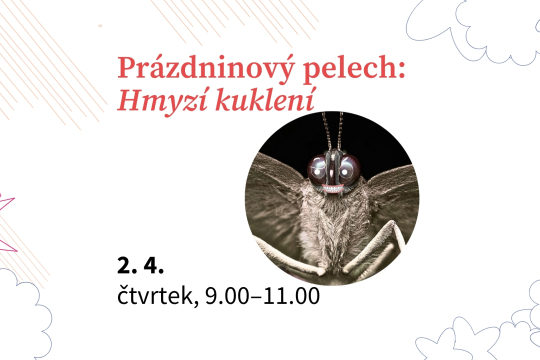 Prázdninový pelech: Hmyzí kuklení