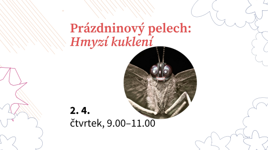 Prázdninový pelech: Hmyzí kuklení