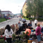 Prodej knih 2013